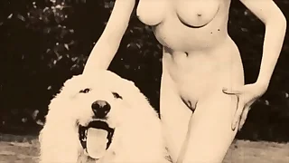 584 hairy pussy porn videos